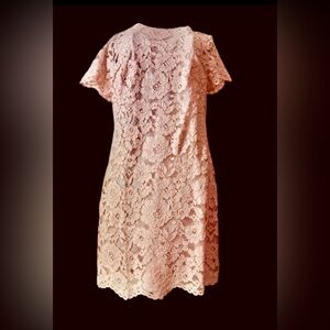 RALPH LAUREN NWT Dress sz18 Lt Pink Fliral Lace Overlay Lined Above Knee Classy
